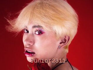 Junior2311