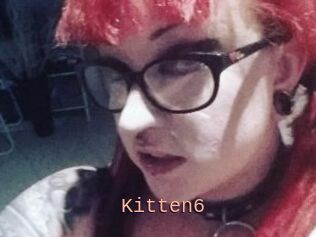 Kitten6