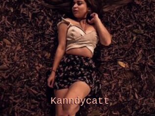 Kanndycatt