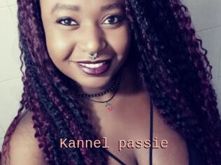 Kannel_passie