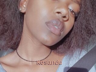 Kesandu