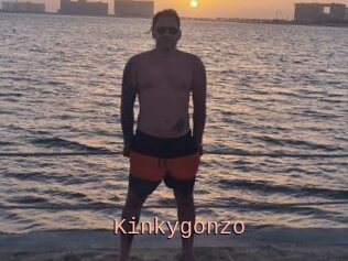 Kinkygonzo