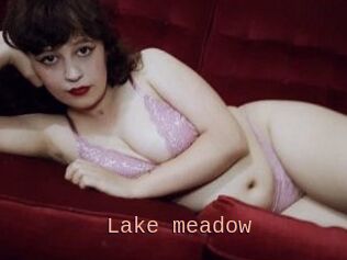 Lake_meadow