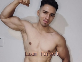 Liam_forest
