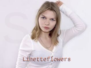 Linetteflowers
