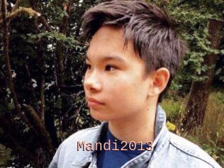 Mandi2013