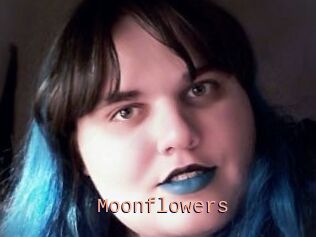 Moonflowers