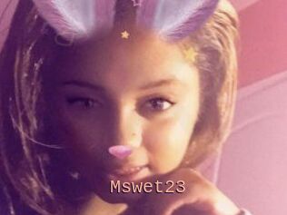 Mswet23