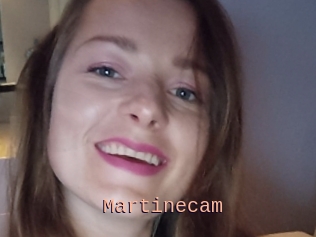 Martinecam