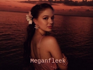 Meganfleek