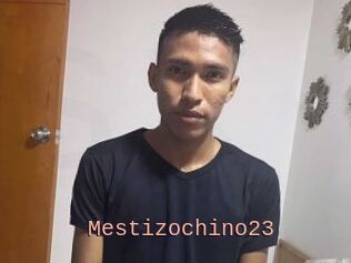Mestizochino23