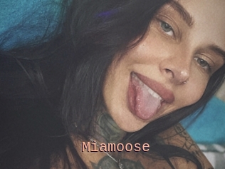 Miamoose