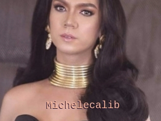 Michelecalib