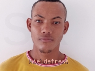 Mieldefresa