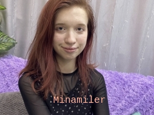 Minamiler