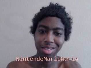 NintendoMarioMario