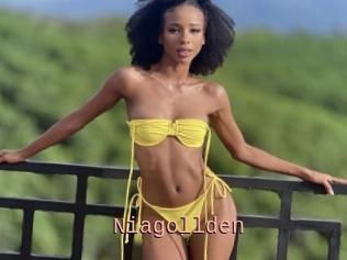 Niagollden