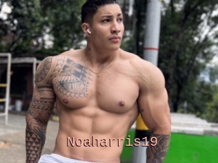 Noaharris19