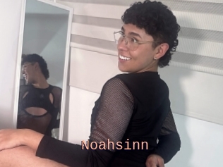 Noahsinn