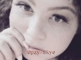 Opay_Skye