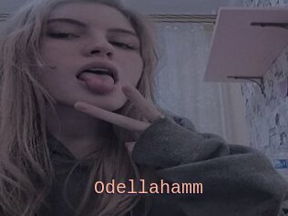 Odellahamm