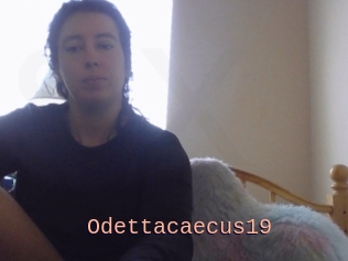 Odettacaecus19