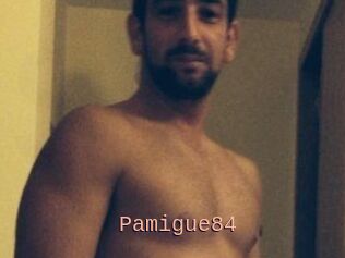 Pamigue84