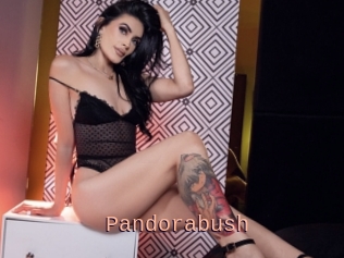 Pandorabush
