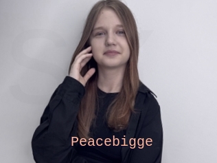 Peacebigge