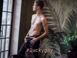 Pluckygay