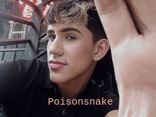 Poisonsnake