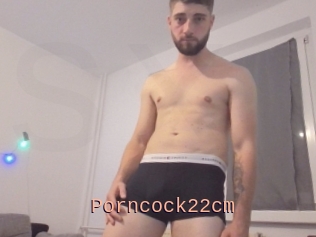 Porncock22cm