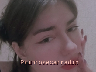 Primrosecarradin