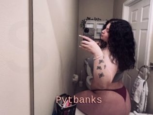 Pytbanks