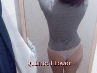 Quinceflower