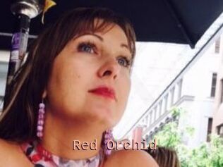 Red_Orchid