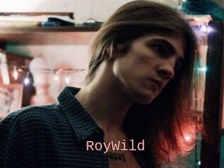 RoyWild