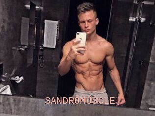 SANDRO_MUSCLE