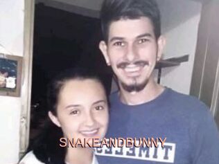 SNAKEANDBUNNY