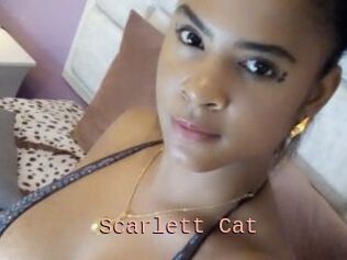 Scarlett_Cat