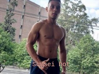 Sensei_hot