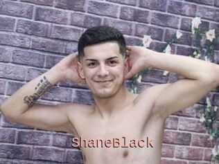 ShaneBlack