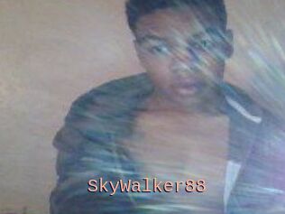 SkyWalker88