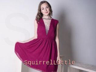 SquirrelLittle