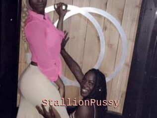 StallionPussy