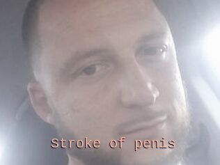 Stroke_of_penis