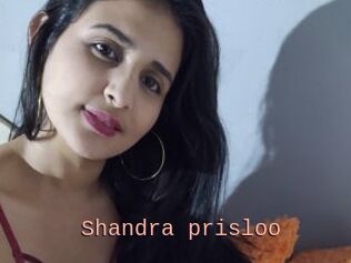Shandra_prisloo