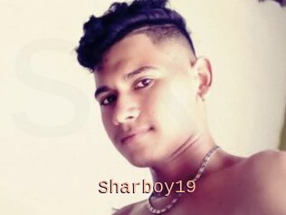 Sharboy19