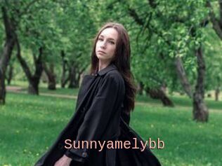 Sunnyamelybb