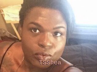 TS_Shea
